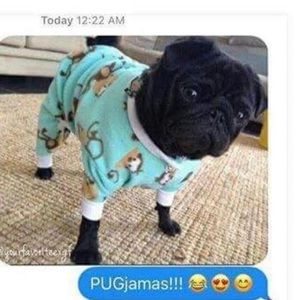 Meet your Posher, Taty